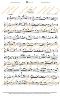 76 Graded Studies For Flute Book Two