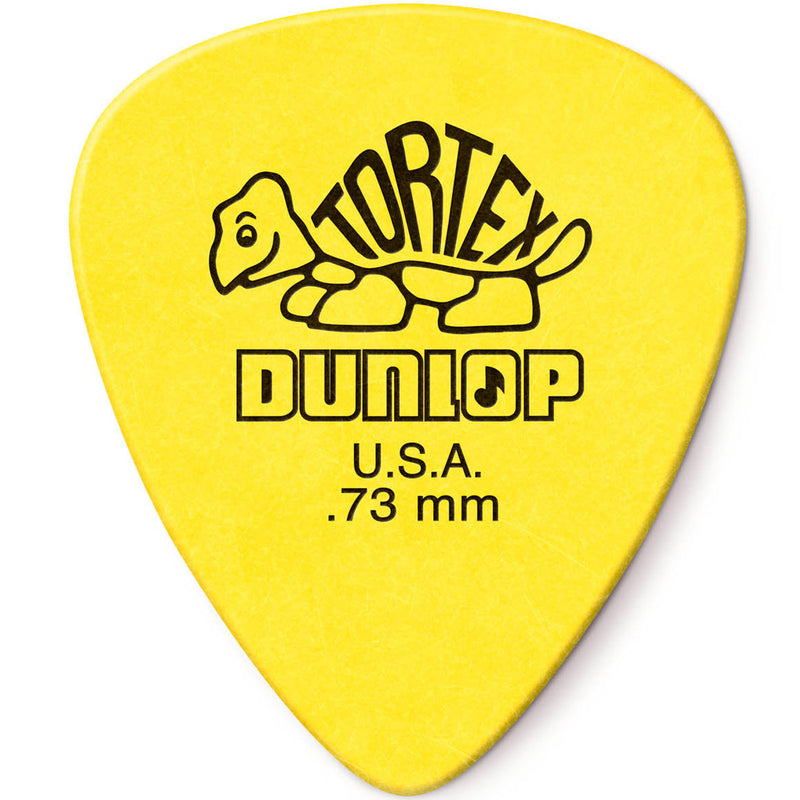 Guitar Standard Picks