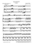 Vivaldi Flute Concerto No. 2 in G minor "La Notte"