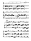 Vivaldi Flute Concerto No. 2 in G minor "La Notte"
