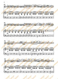 Violin Repertoire 5 Material